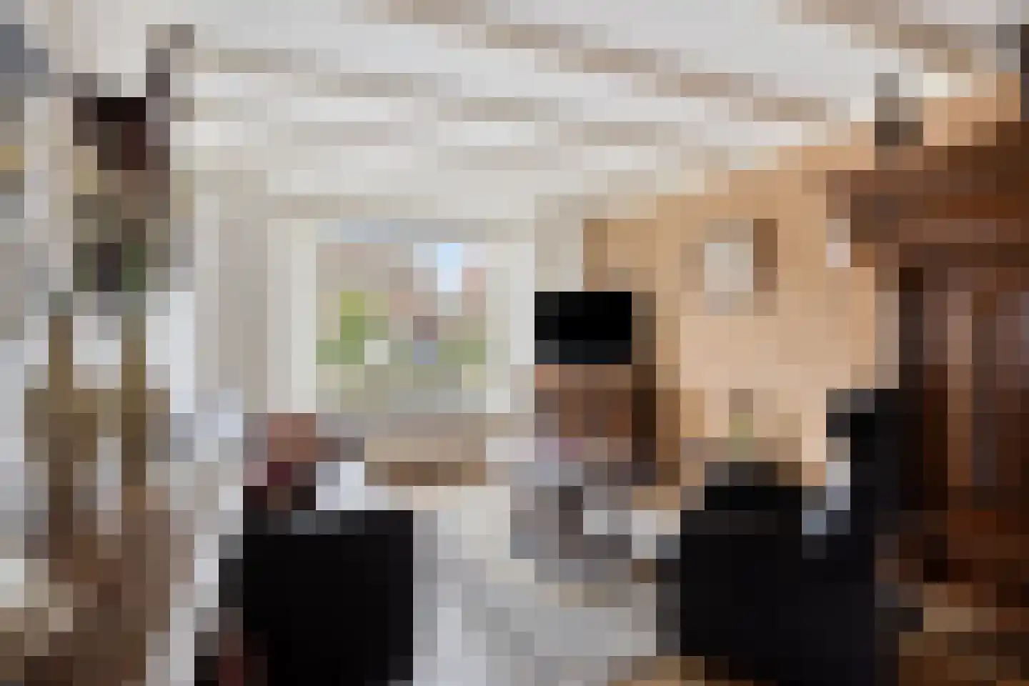 Iman van den Boschstraat 44 Oss thumbnail 6