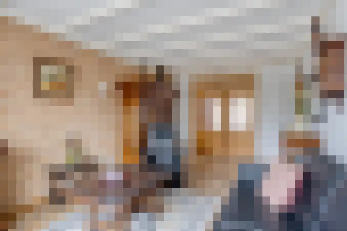 Iman van den Boschstraat 44 Oss thumbnail 7