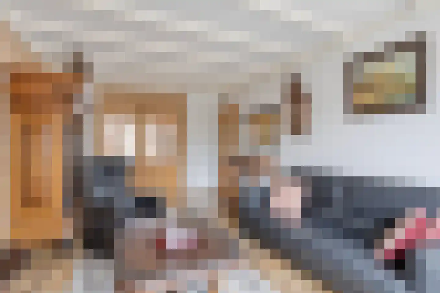 Iman van den Boschstraat 44 Oss thumbnail 8