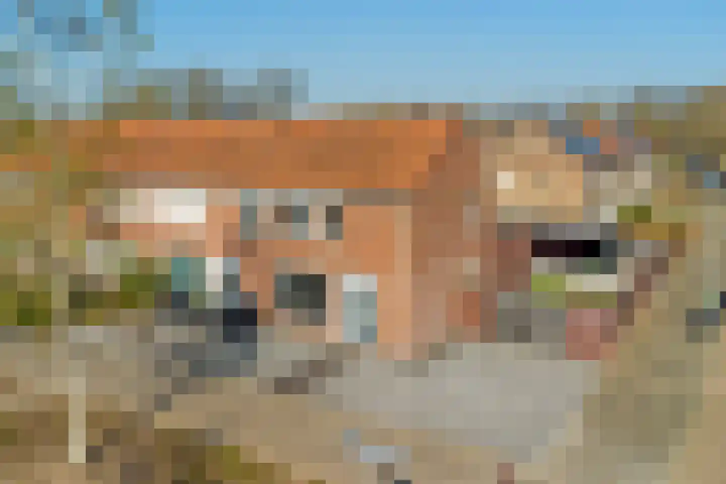 Iman van den Boschstraat 54 Oss