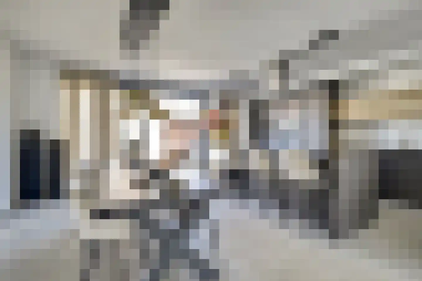 Iman van den Boschstraat 54 Oss thumbnail 12