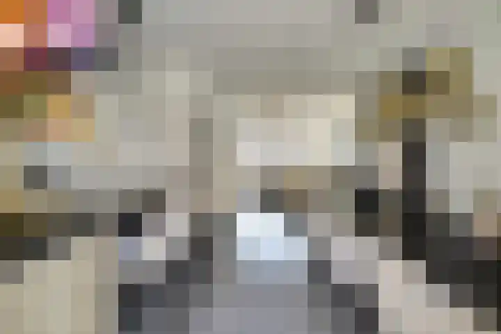 Iman van den Boschstraat 54 Oss thumbnail 14