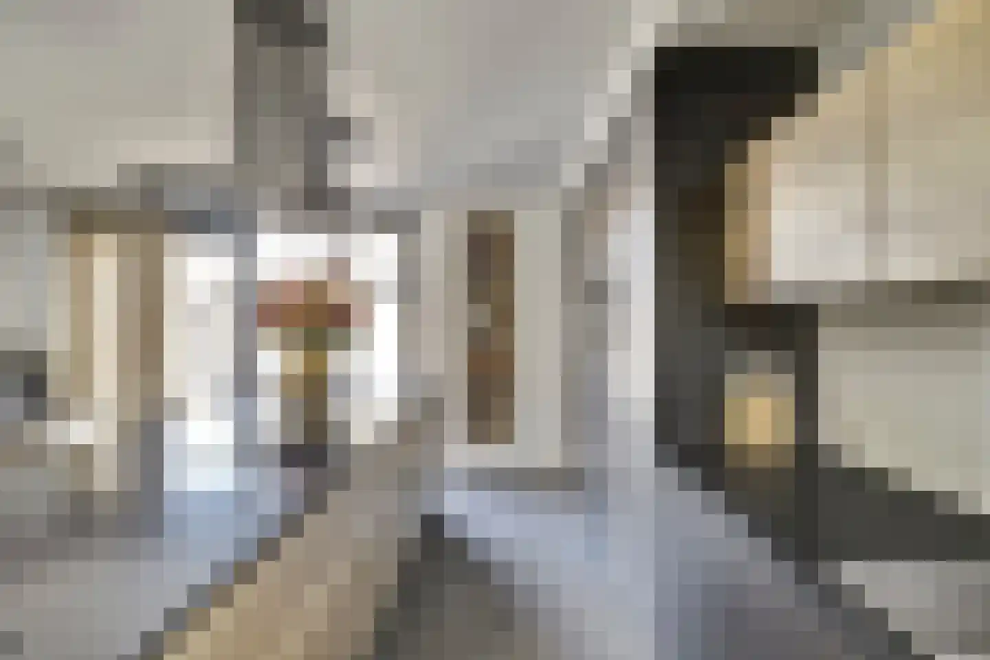Iman van den Boschstraat 54 Oss thumbnail 15
