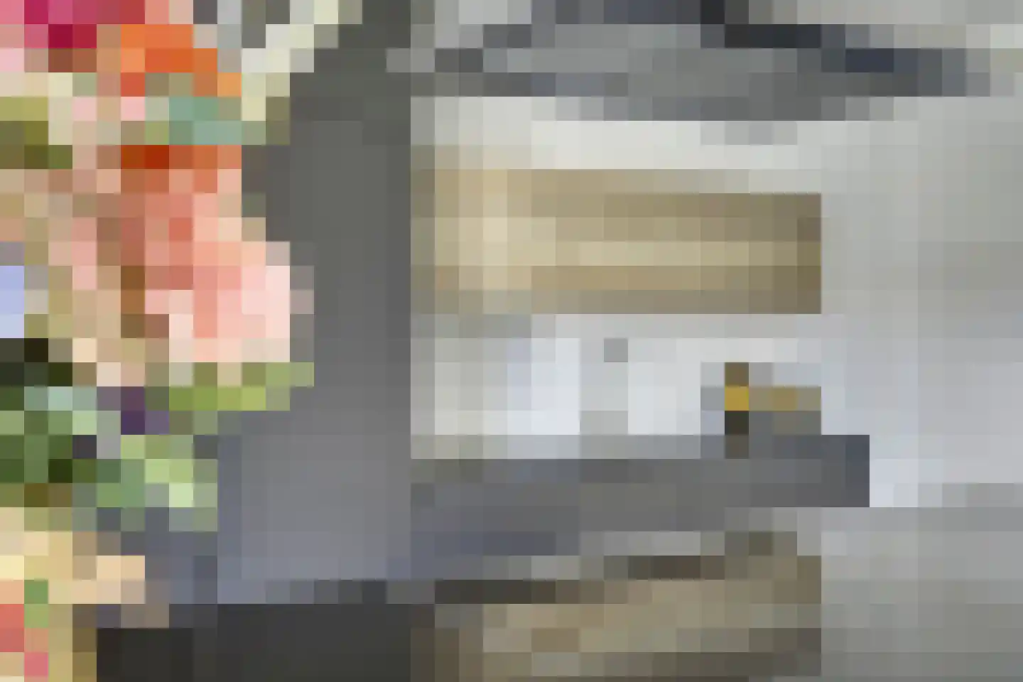Iman van den Boschstraat 54 Oss thumbnail 16