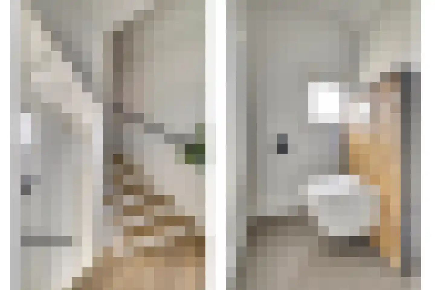 Iman van den Boschstraat 54 Oss thumbnail 19