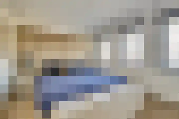 Iman van den Boschstraat 54 Oss thumbnail 21
