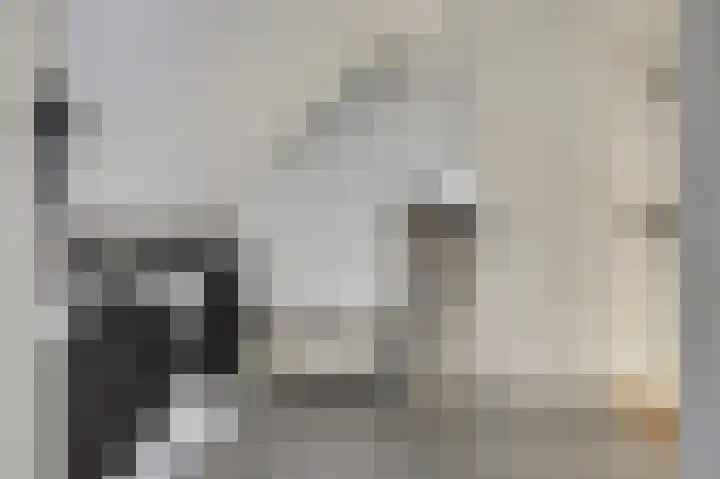 Iman van den Boschstraat 54 Oss thumbnail 27