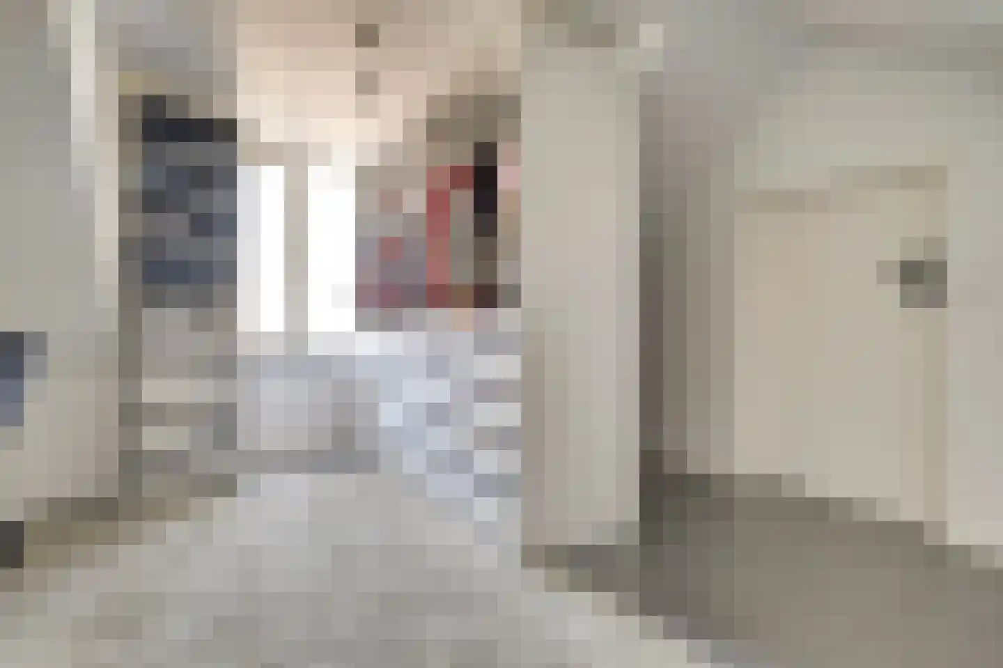 Iman van den Boschstraat 54 Oss thumbnail 28