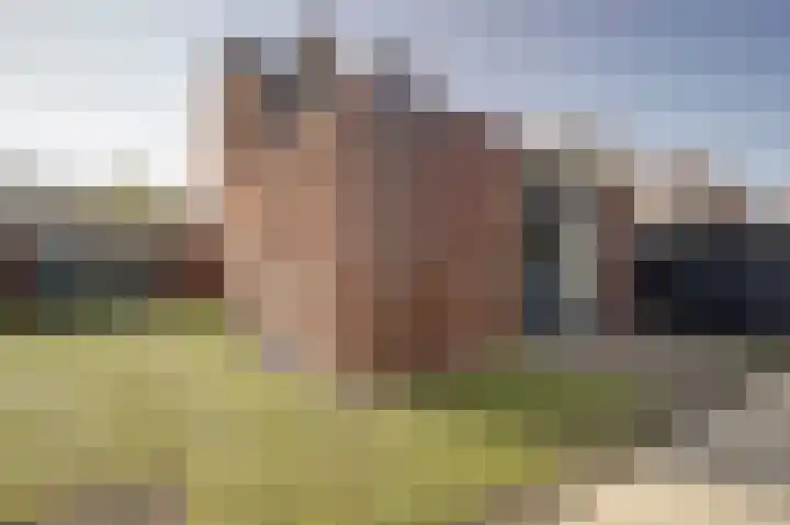 Iman van den Boschstraat 54 Oss thumbnail 34