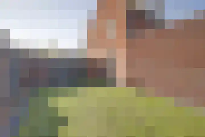 Iman van den Boschstraat 54 Oss thumbnail 35
