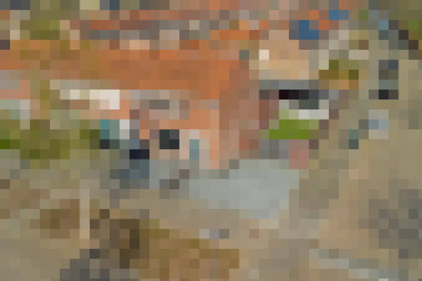 Iman van den Boschstraat 54 Oss thumbnail 38