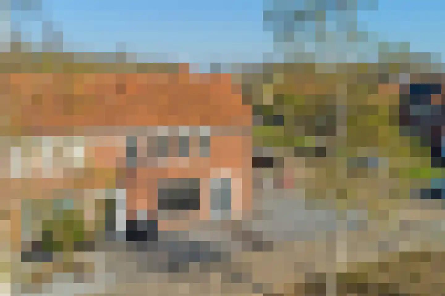 Iman van den Boschstraat 54 Oss thumbnail 39