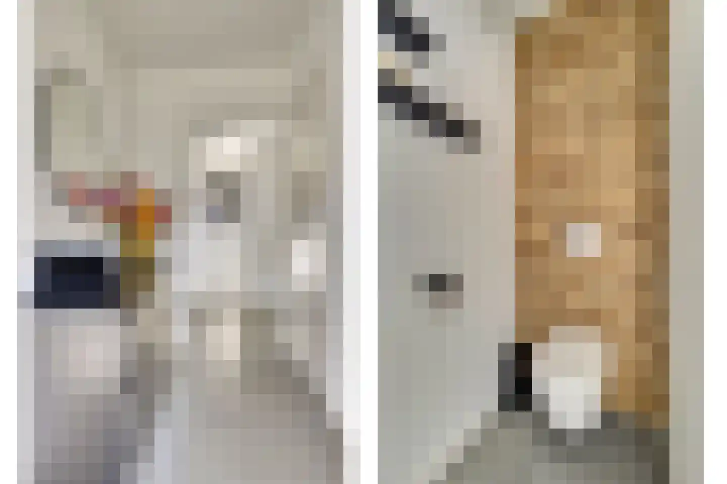 Iman van den Boschstraat 54 Oss thumbnail 6
