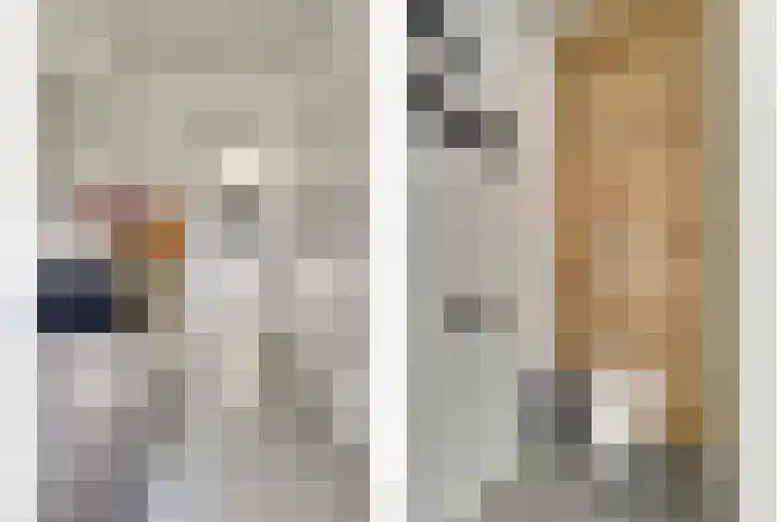 Iman van den Boschstraat 54 Oss thumbnail 6