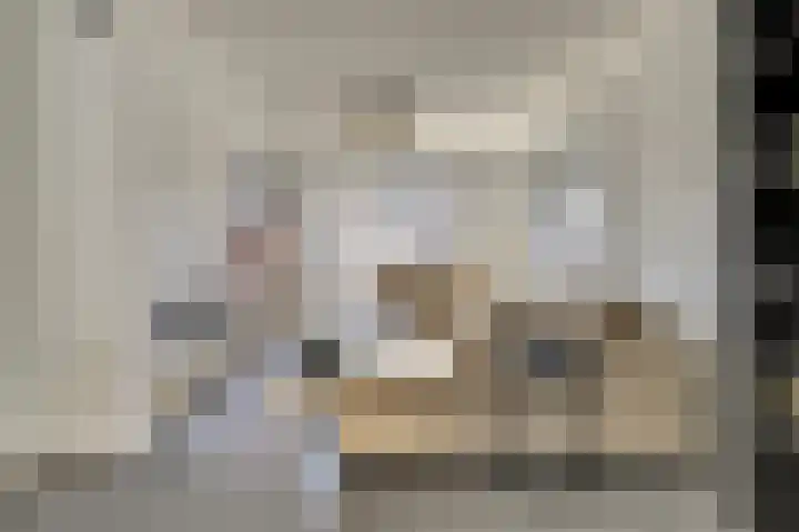 Iman van den Boschstraat 54 Oss thumbnail 8