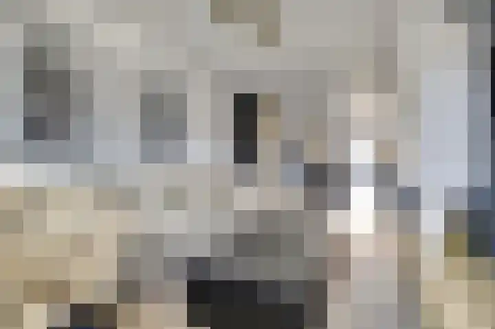 Iman van den Boschstraat 54 Oss thumbnail 9
