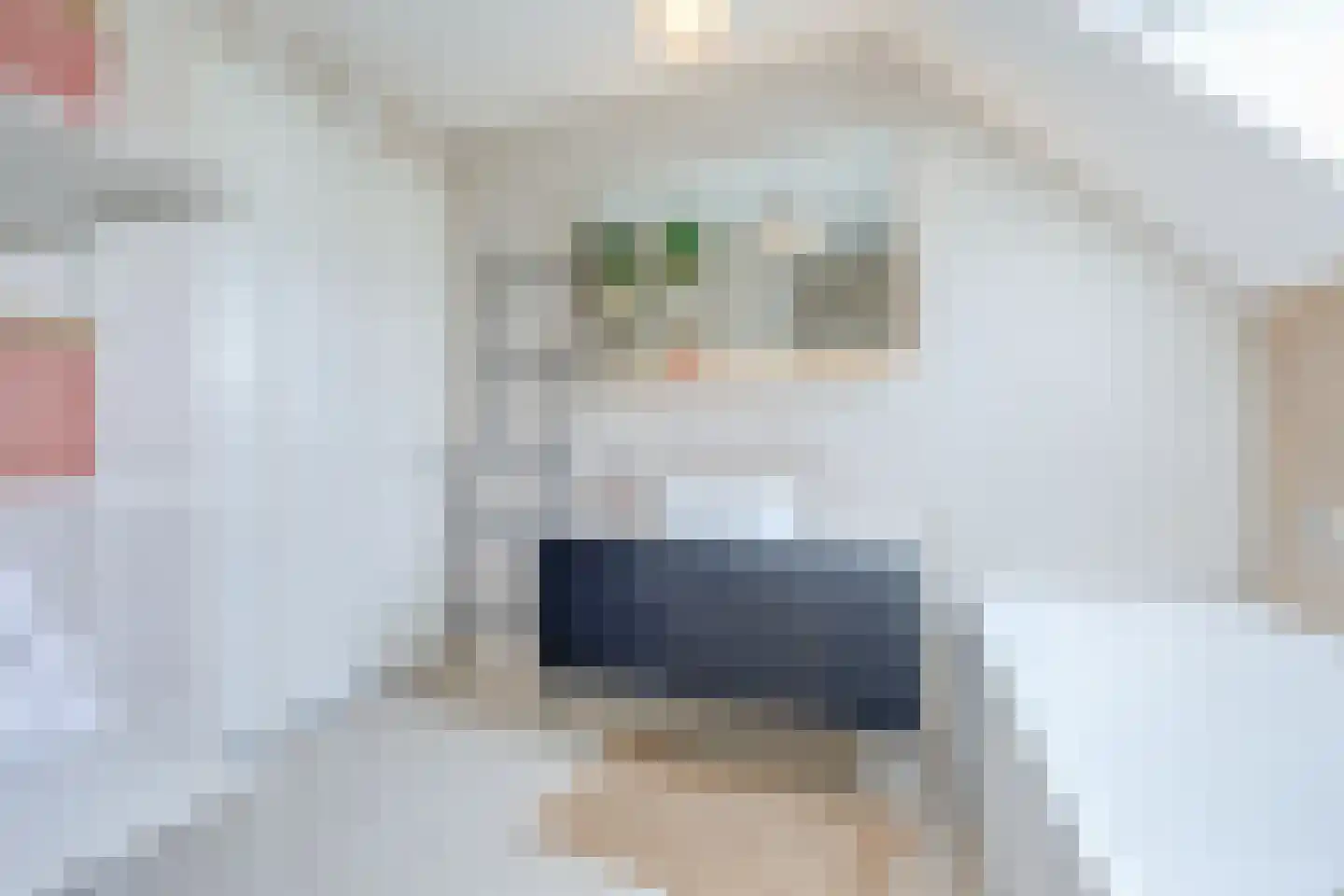 Imbos 5 Almere thumbnail 26