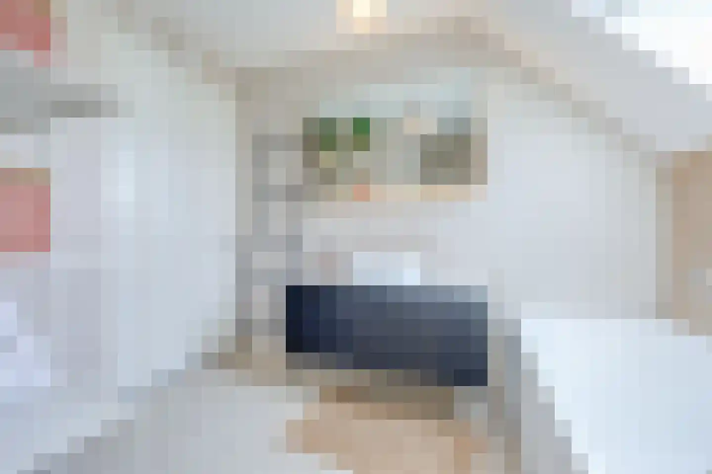 Imbos 5 Almere thumbnail 30