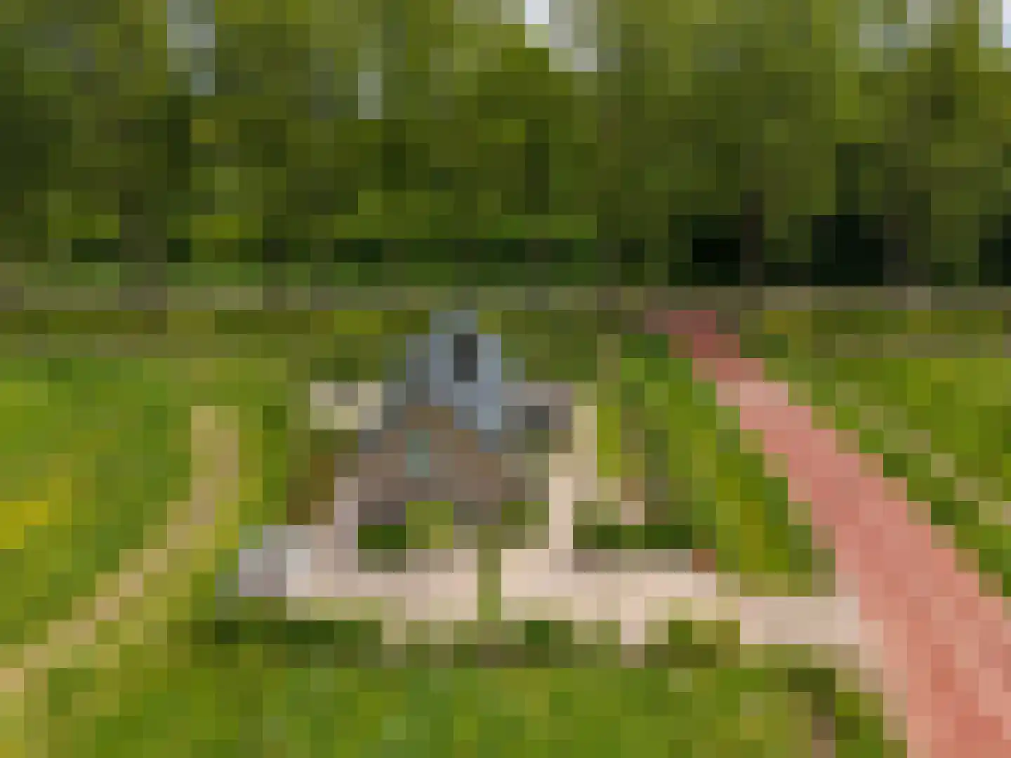 Imbos 5 Almere thumbnail 33