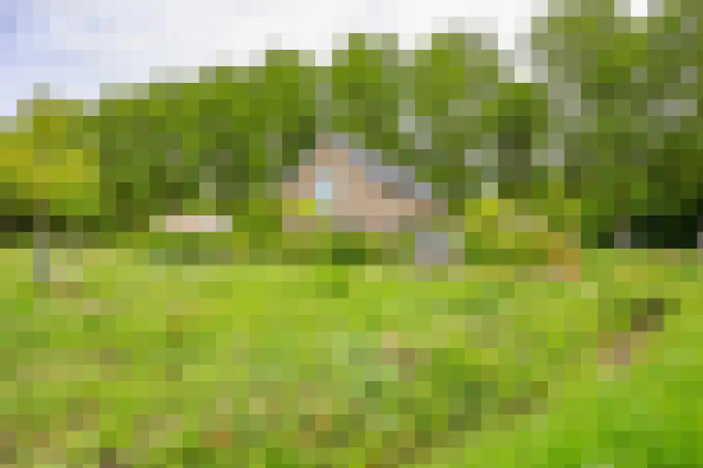 Imbos 5 Almere thumbnail 34