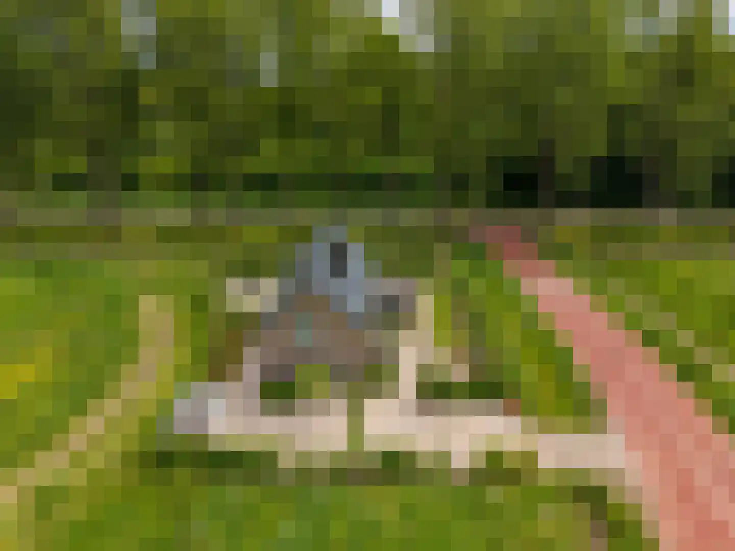 Imbos 5 Almere thumbnail 46