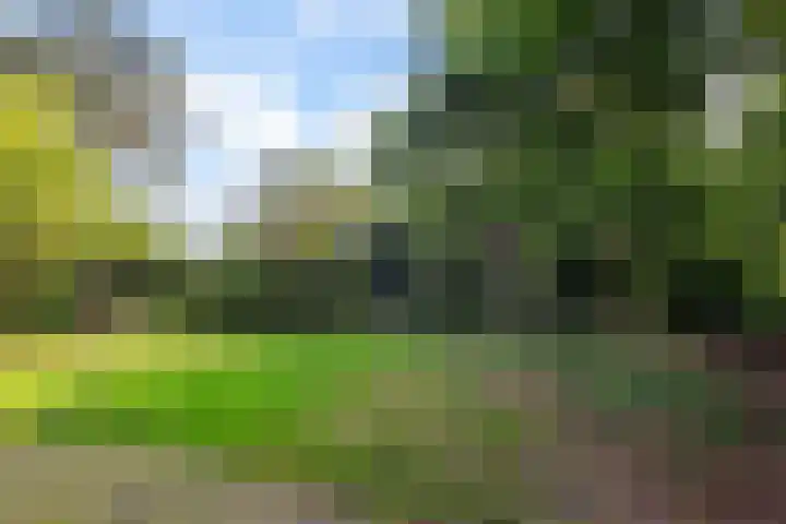 Imbosch 1 Rozendaal thumbnail 46