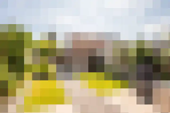 Imbosch 14 Dronten thumbnail 31