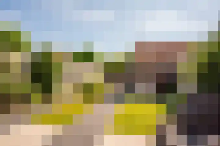 Imbosch 14 Dronten thumbnail 32