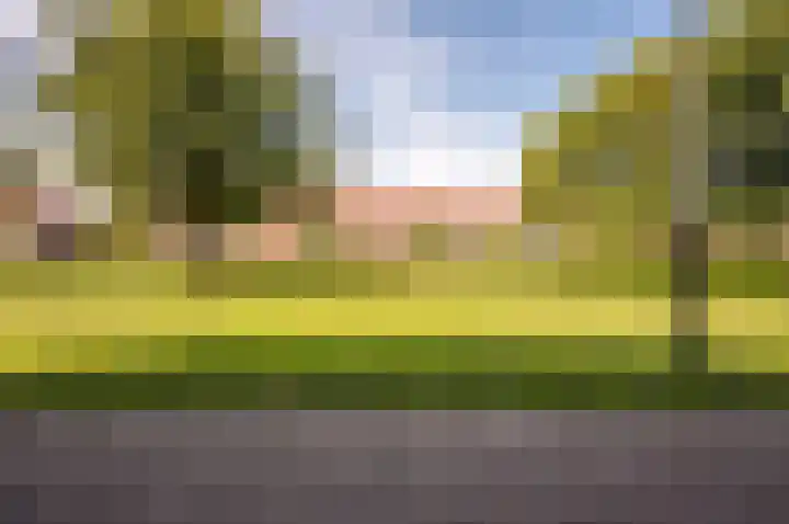 Imbosch 14 Dronten thumbnail 37