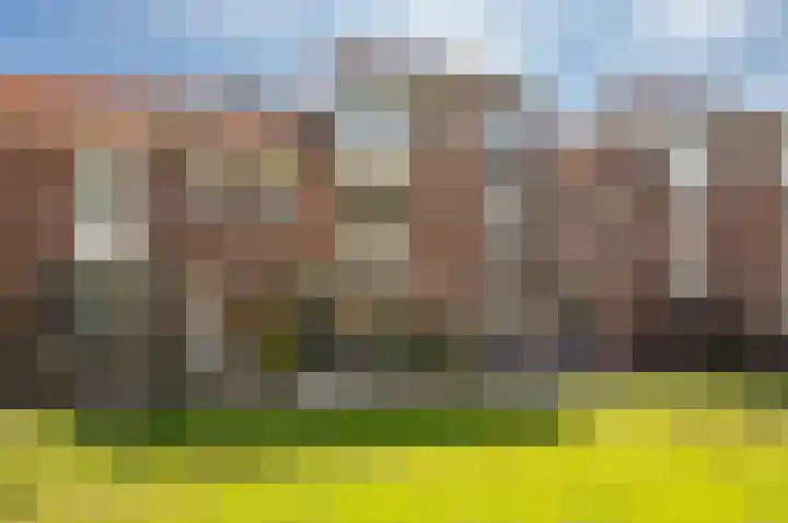 Imbosch 14 Dronten thumbnail 38