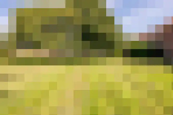 Imbosch 14 Dronten thumbnail 40