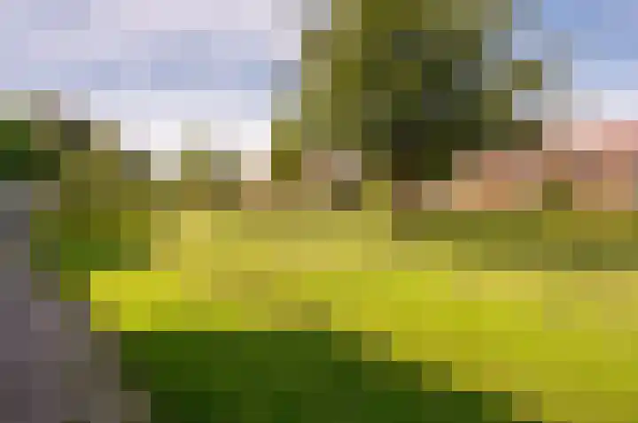Imbosch 14 Dronten thumbnail 41