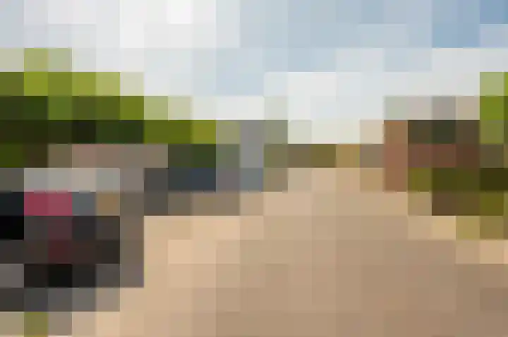 Imbosch 14 Dronten thumbnail 42