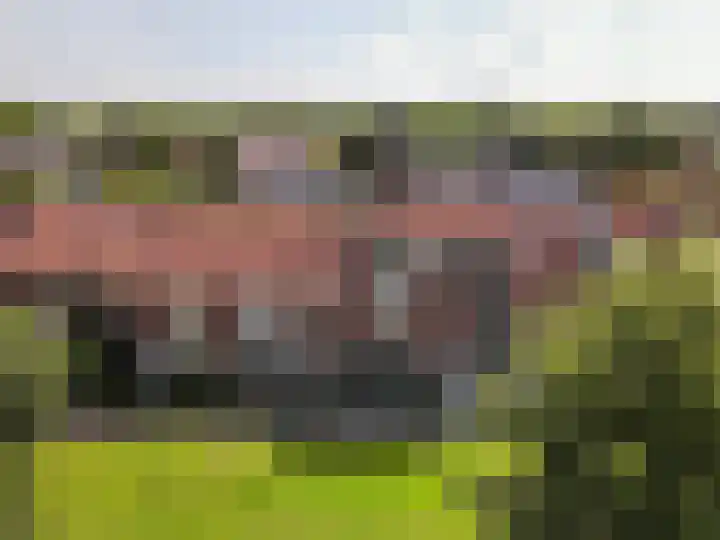 Imbosch 14 Dronten thumbnail 43
