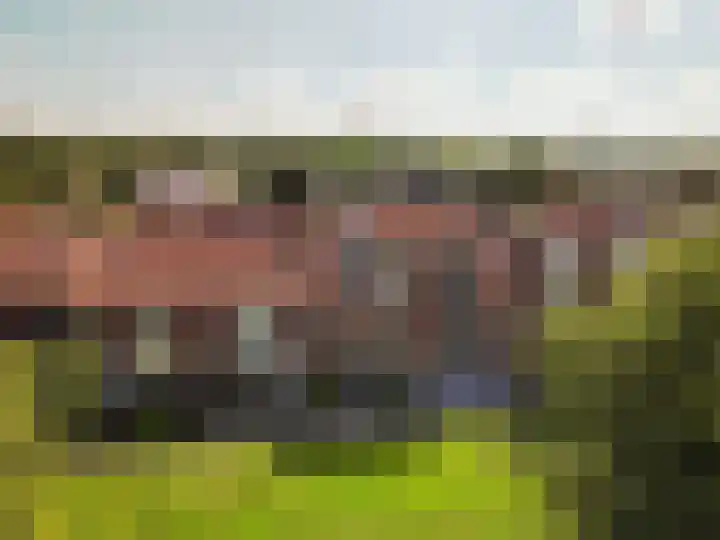 Imbosch 14 Dronten thumbnail 44
