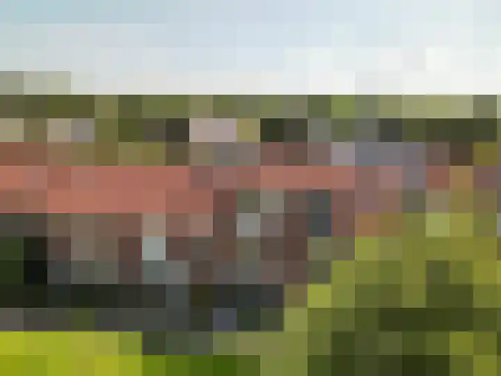 Imbosch 14 Dronten thumbnail 45