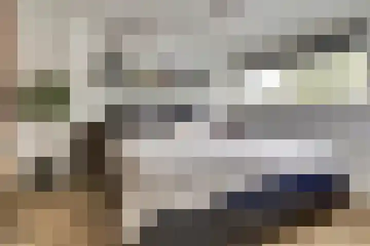 Imboslaan 110 Dieren thumbnail 17