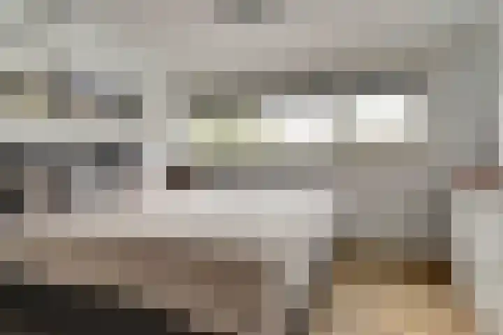Imboslaan 110 Dieren thumbnail 18