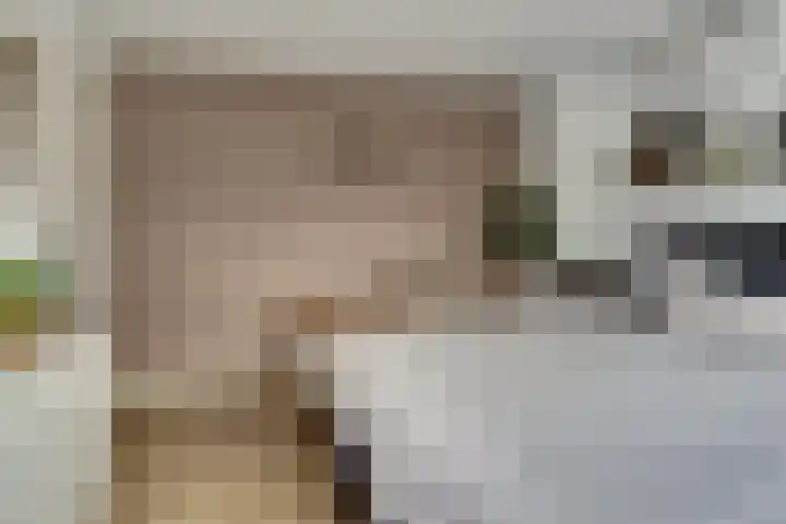 Imboslaan 110 Dieren thumbnail 19