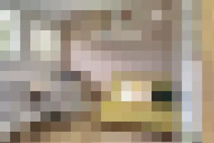 Imboslaan 110 Dieren thumbnail 20