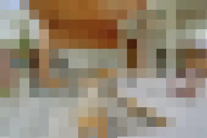 Imboslaan 110 Dieren thumbnail 30