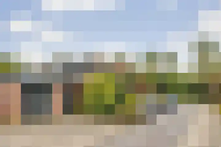 Imboslaan 110 Dieren thumbnail 5