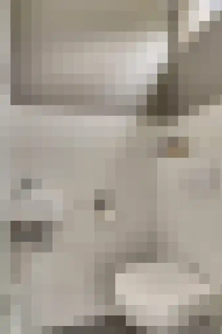 Imboslaan 110 Dieren thumbnail 7