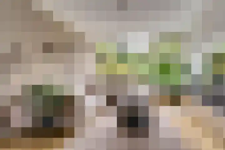 Imboslaan 110 Dieren thumbnail 8