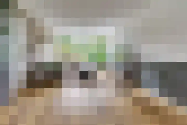 Imboslaan 110 Dieren thumbnail 9