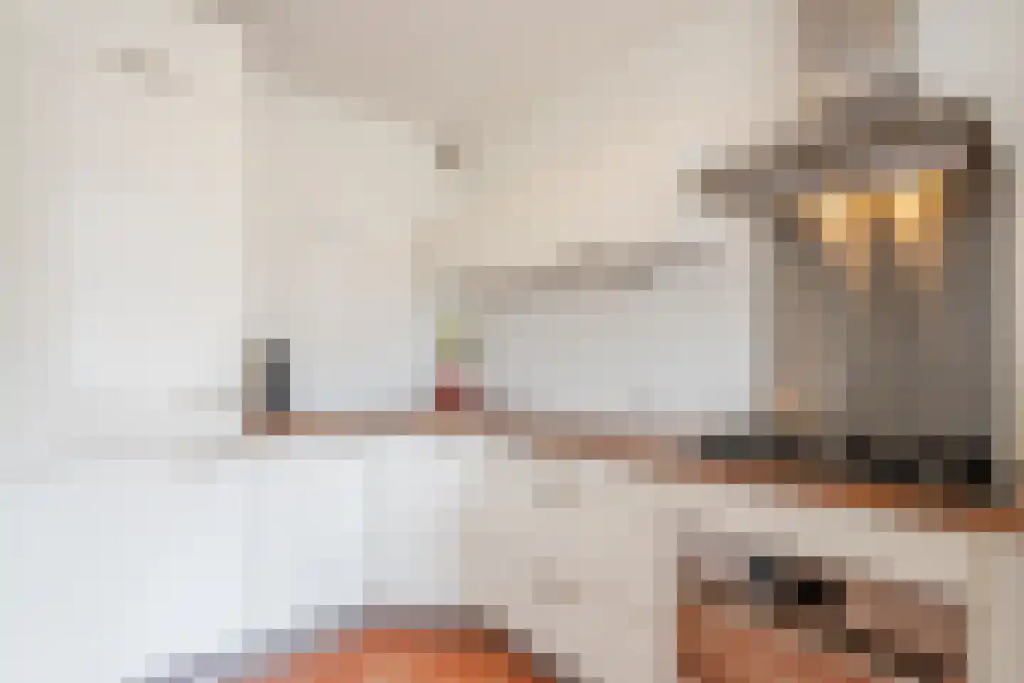 Imboslaan 68 Dieren thumbnail 11