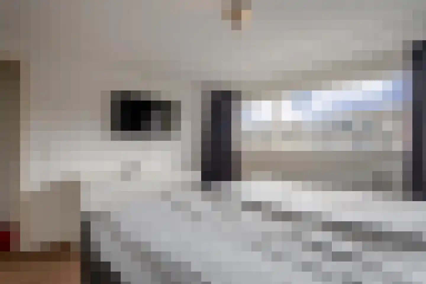 Imboslaan 68 Dieren thumbnail 17