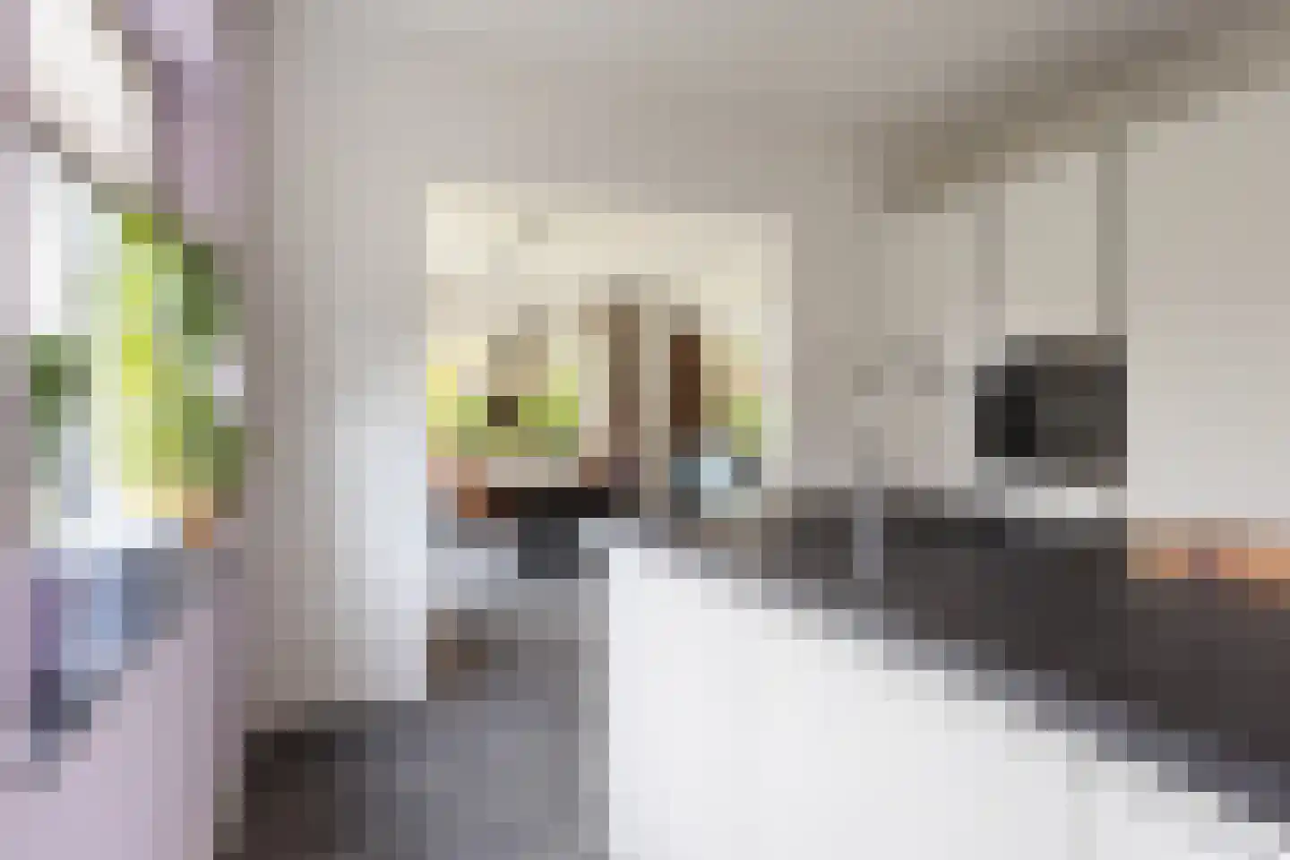 Imbosweg 4 Loenen thumbnail 13