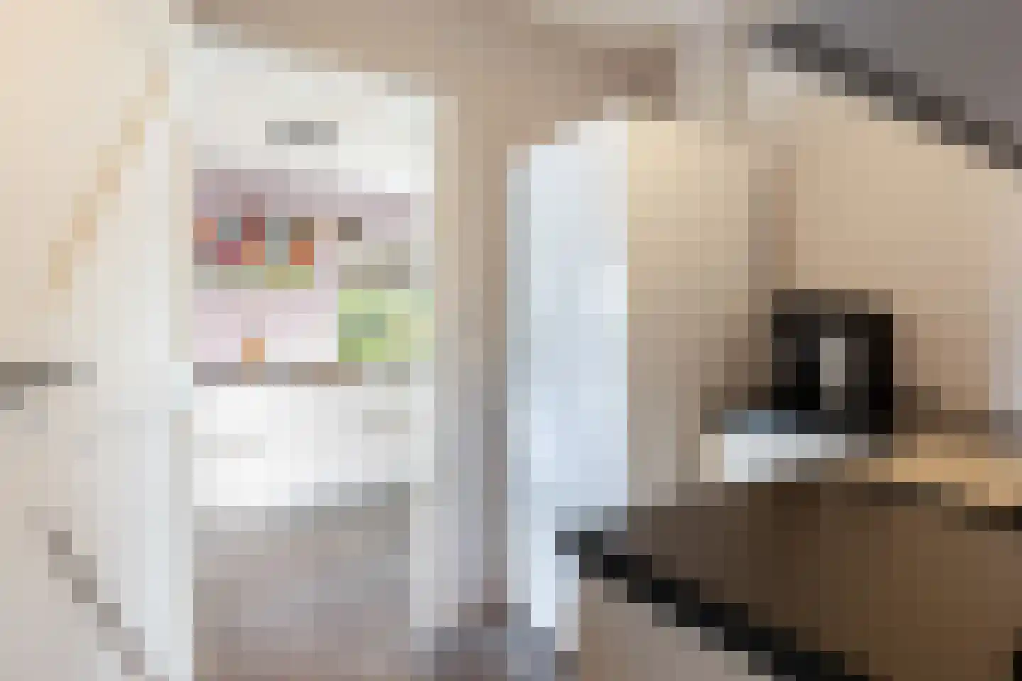 Imbosweg 4 Loenen thumbnail 17