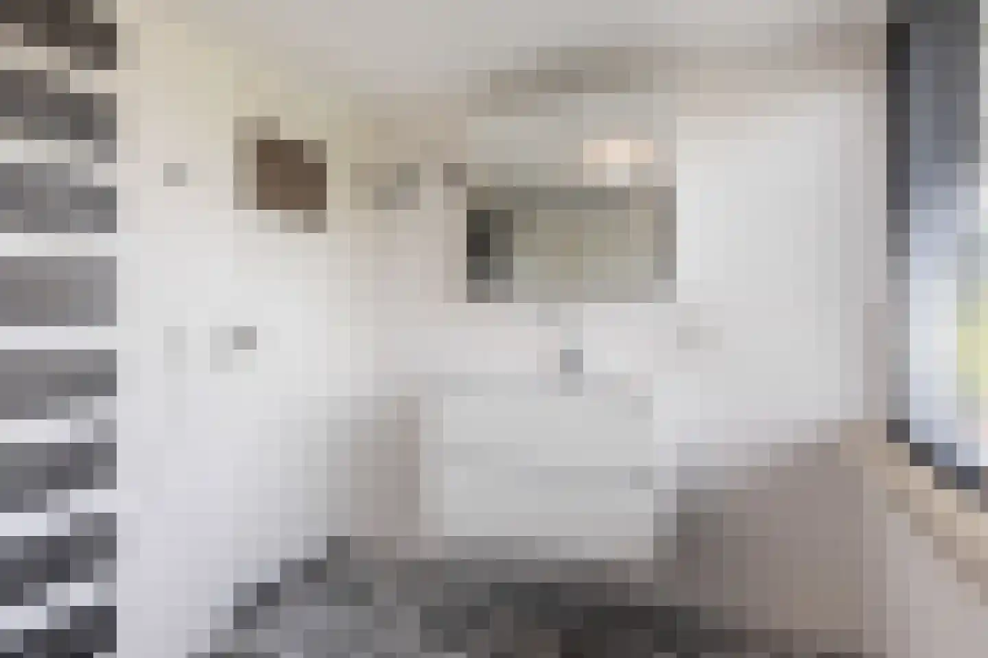Imbosweg 4 Loenen thumbnail 35